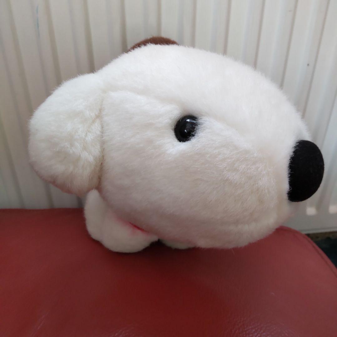 サンアロー　リトル・チャロ　ぬいぐるみ　 2008 希少