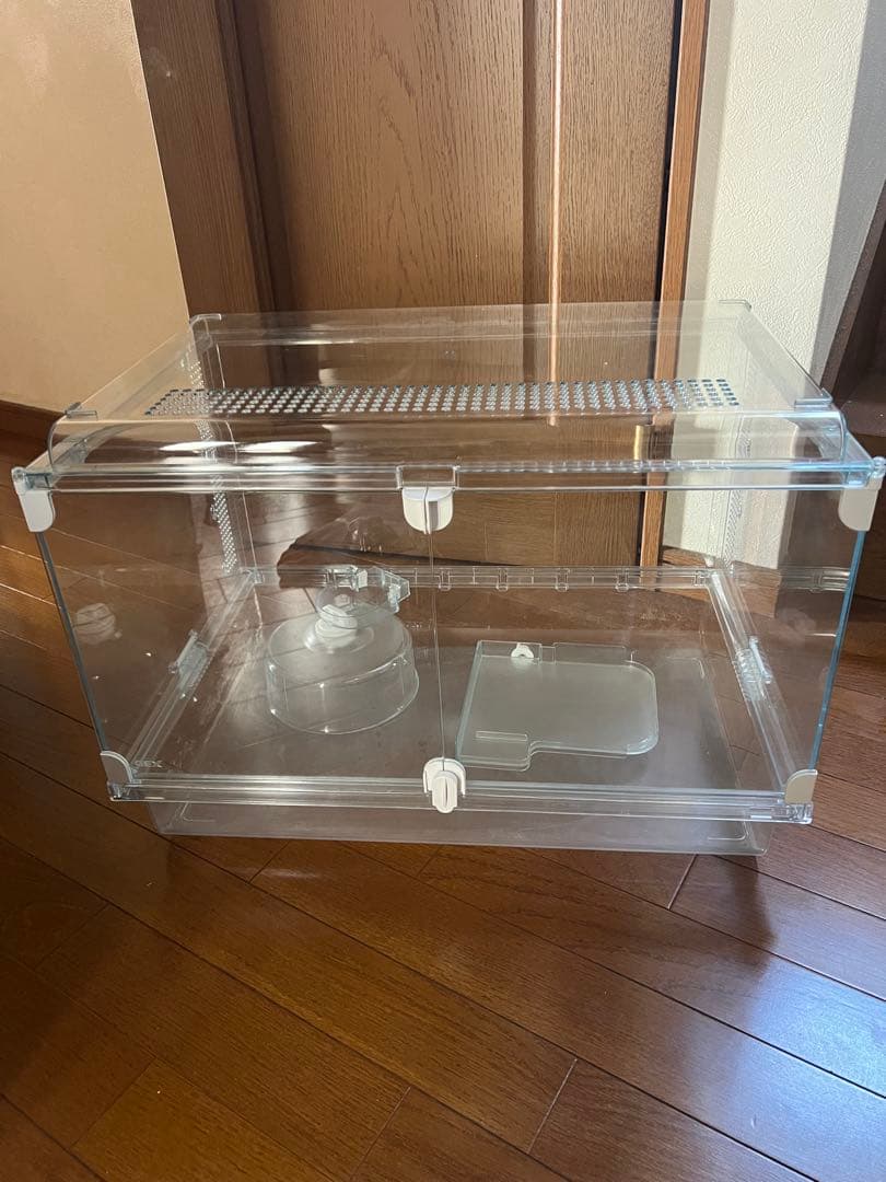 グラスハーモニー600N Amazon | ジェックス Harmony グラスハーモニーマルチ600N ガラス製