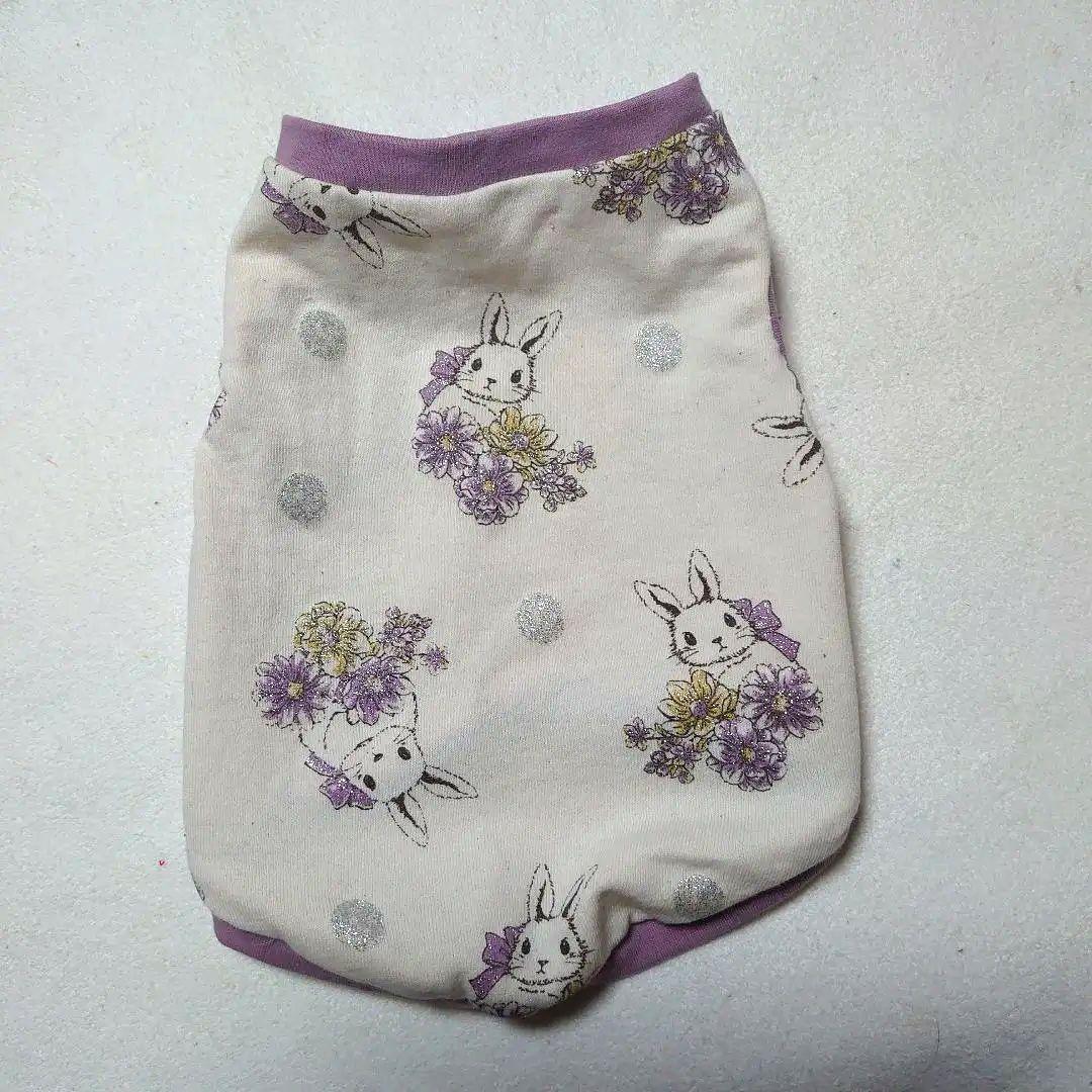 犬服 S わんこの普段着アメグラ青