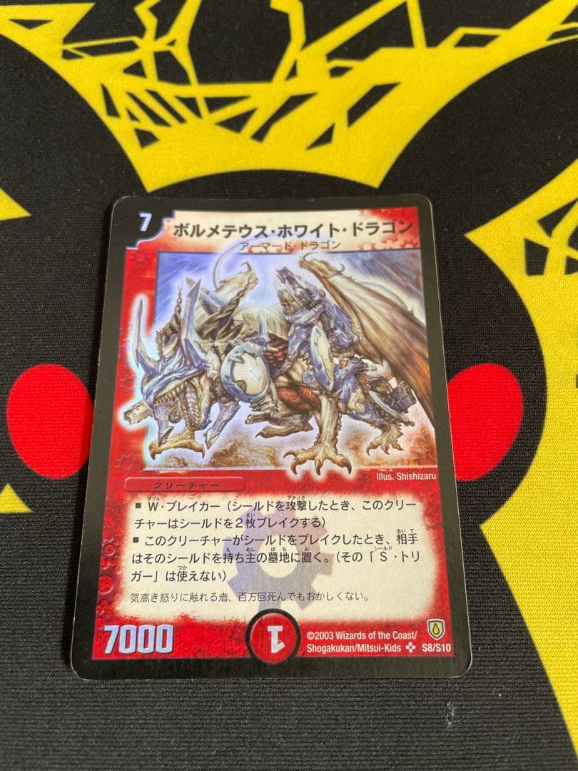 アーテルゴルギーニ 4枚 アーテルゴルギーニ 4枚