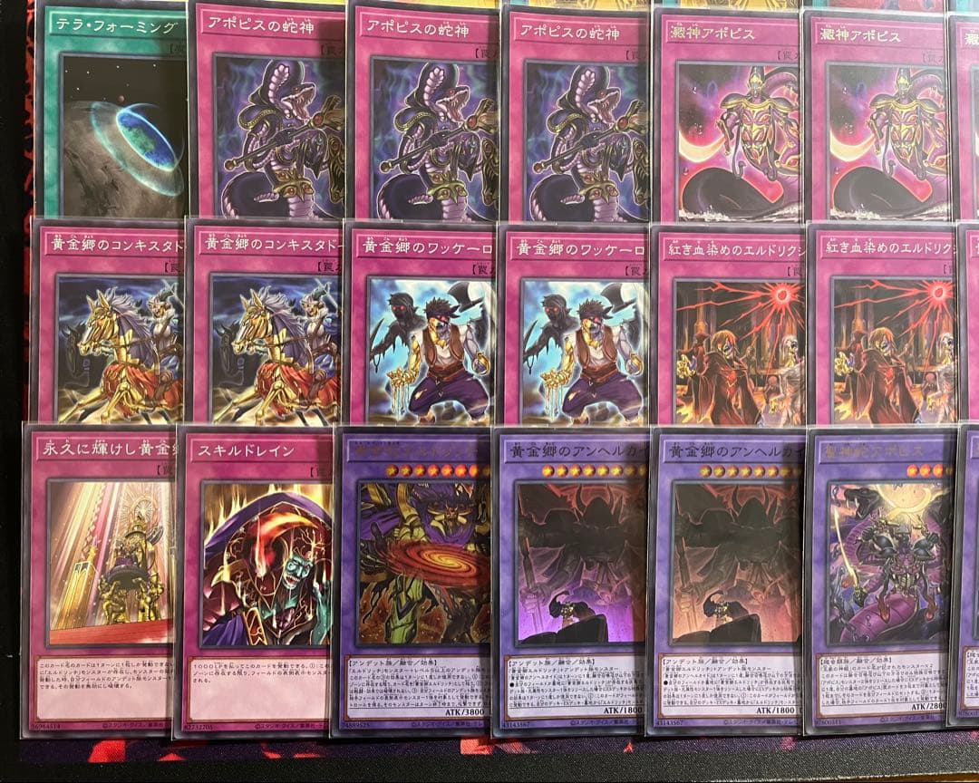 遊戯王　構築済デッキ　王家の神殿デッキ　エルドリッチ　リシド　大会優勝構築