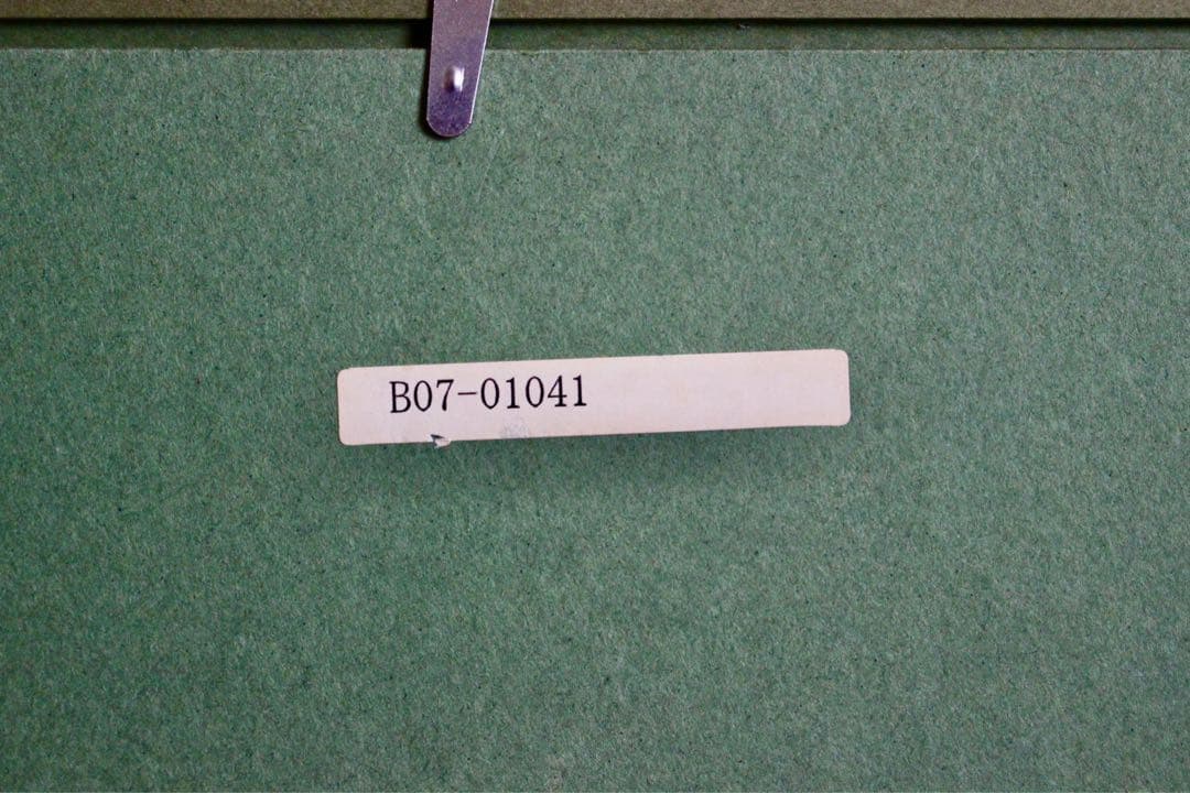 花乙女コレクション【藤岡心象　陽の中で】購入金額より60％お値引き！！