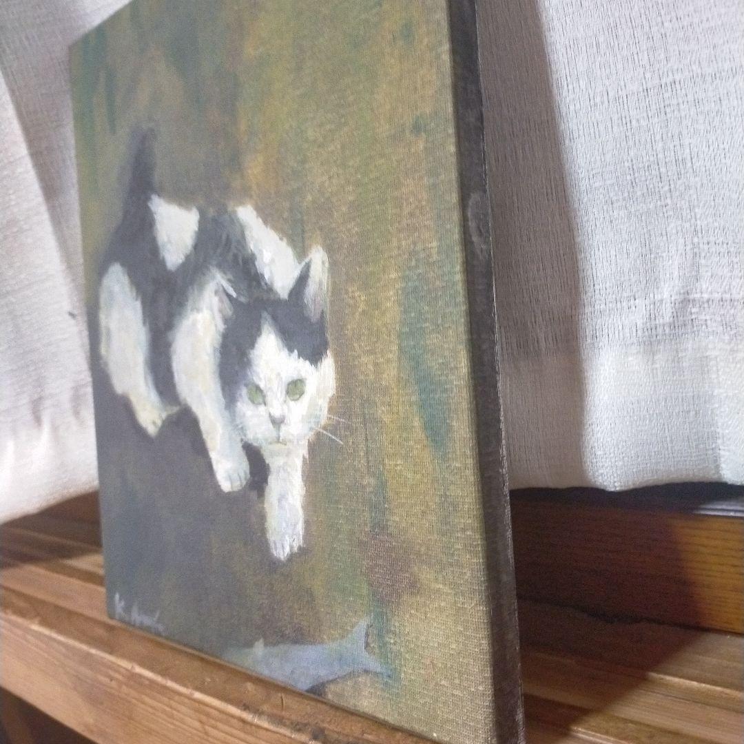 睨む猫 河川敷にて