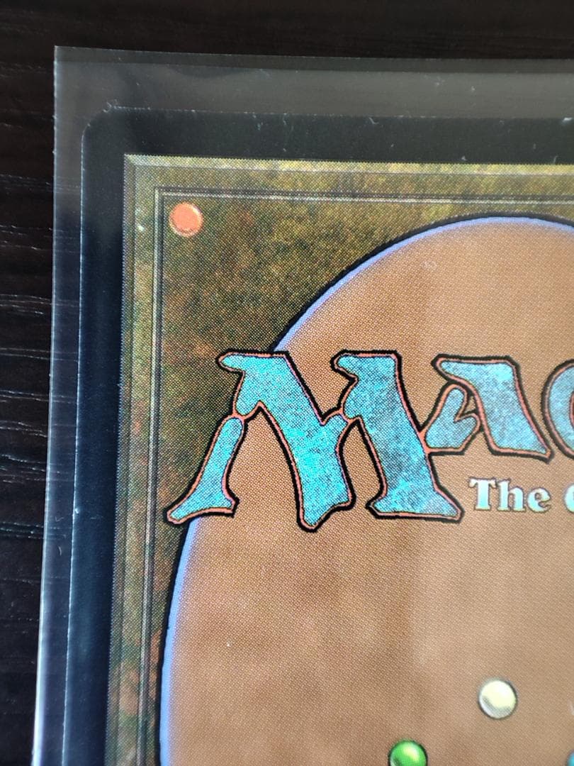 mtg 【Foil】《旗印/Coat of Arms》[7ED] 7版