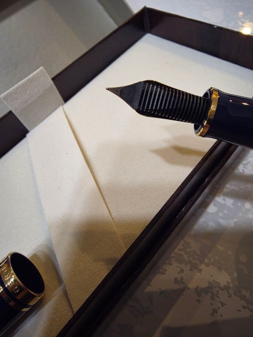 Pelikan ペリカン M800 ストーンガーデン EF