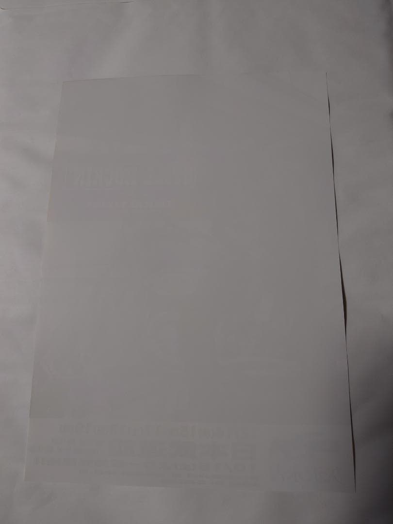 ☆矢沢永吉・2011年・日本武道館・B5サイズチラシ