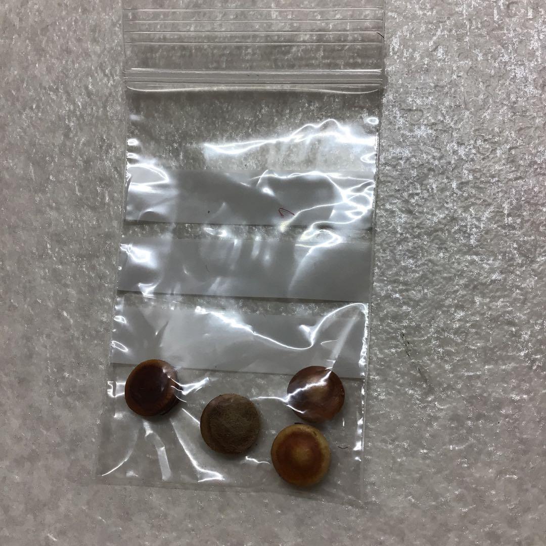 (48) YAMAHA ヤマハ　B♭クラリネット YCL-451 美品