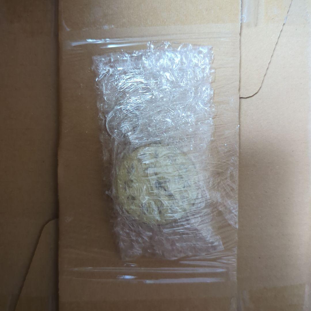 JR東海 在来線・運転士懐中時計