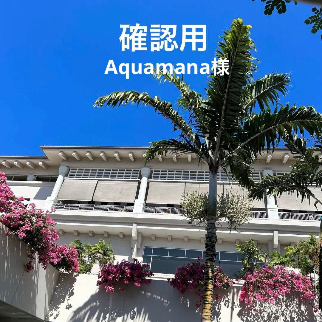 オーダー★帽子色々・クローバー