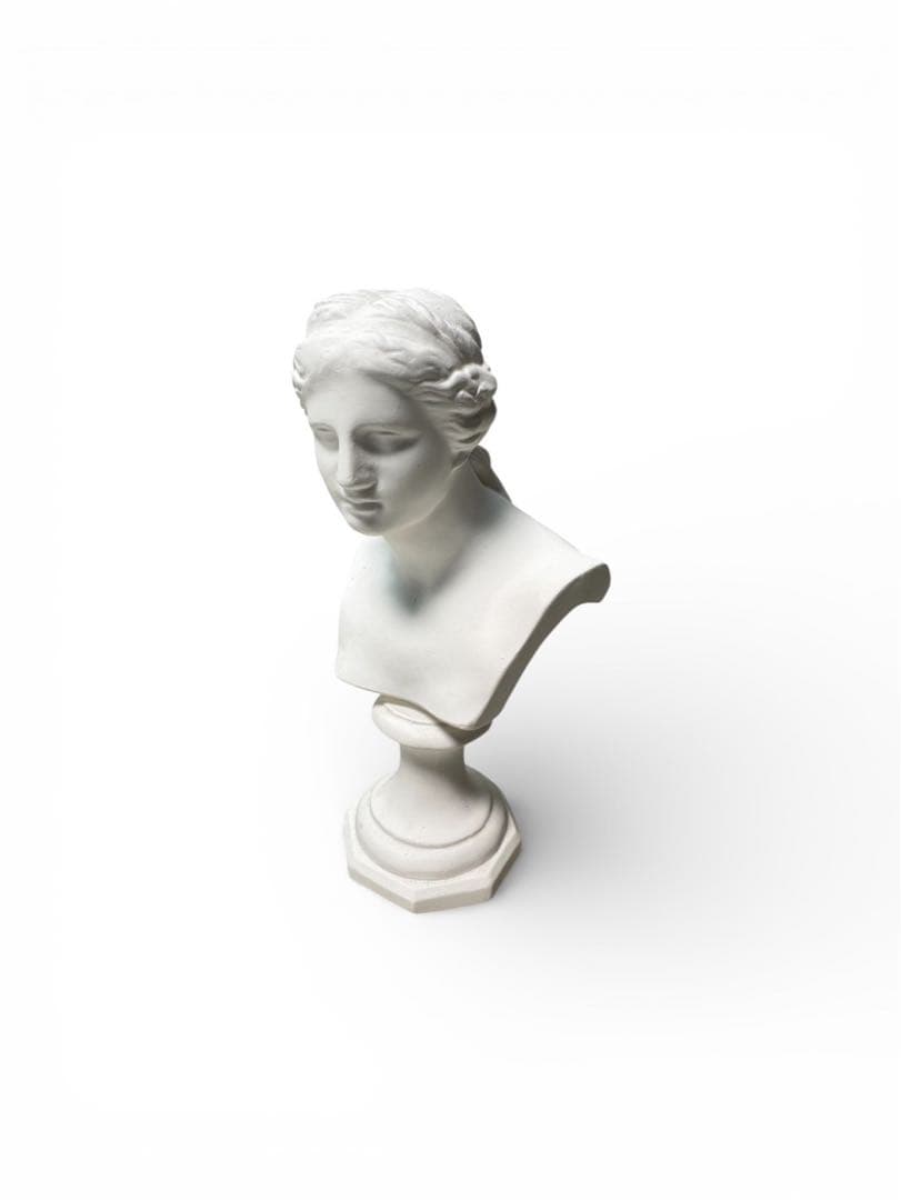 ミロのヴィーナス 石膏像 デッサン アート 芸術 美術 - メルカリ