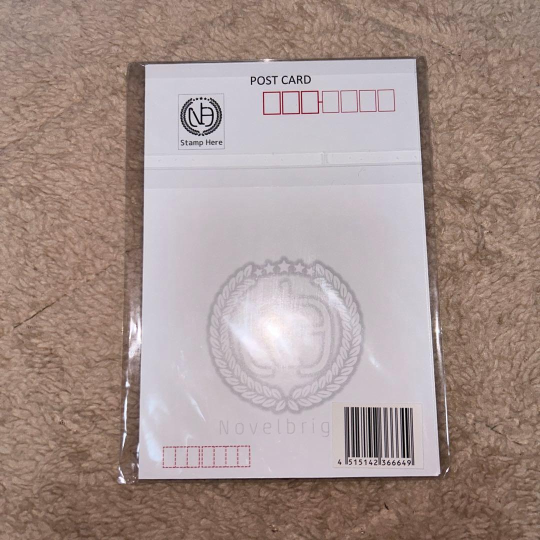 Novelbright 武道館　ジャスティンアイランド特典　防災グッズ他