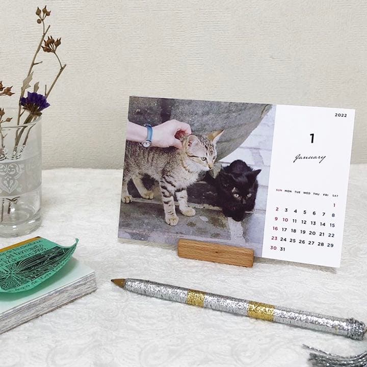 Suicaのペンギン はりこーシカ（だるま）5体セット 新品