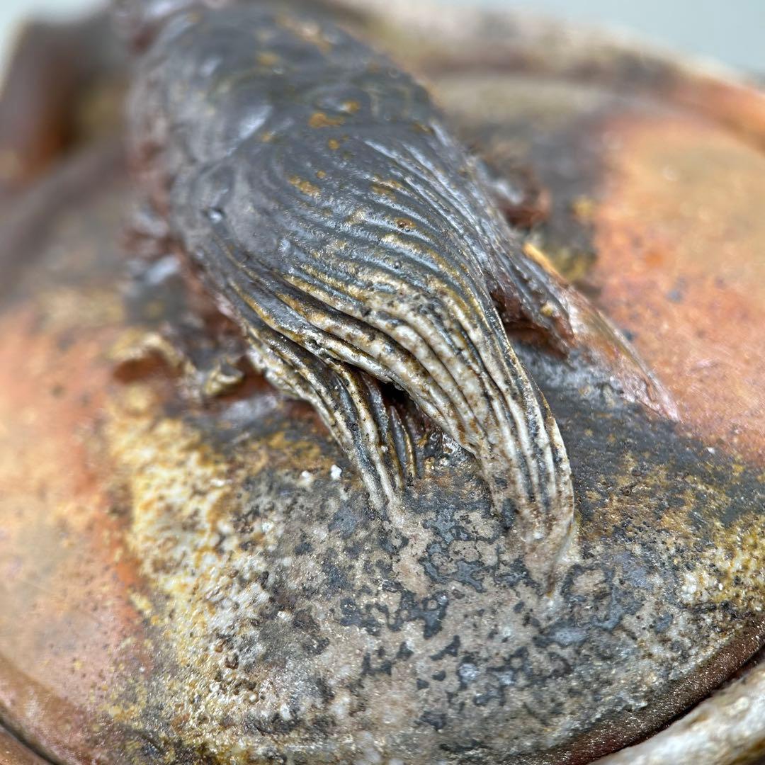 石田安弘 備前焼龟宝瓶 般若心经 人気作者 急須 共箱 共布 茶注