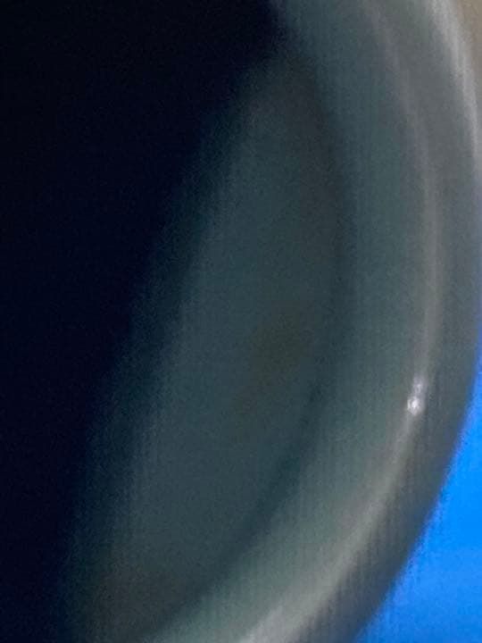 花瓶　古美術　白鳥　縁起物　新年に　飛躍