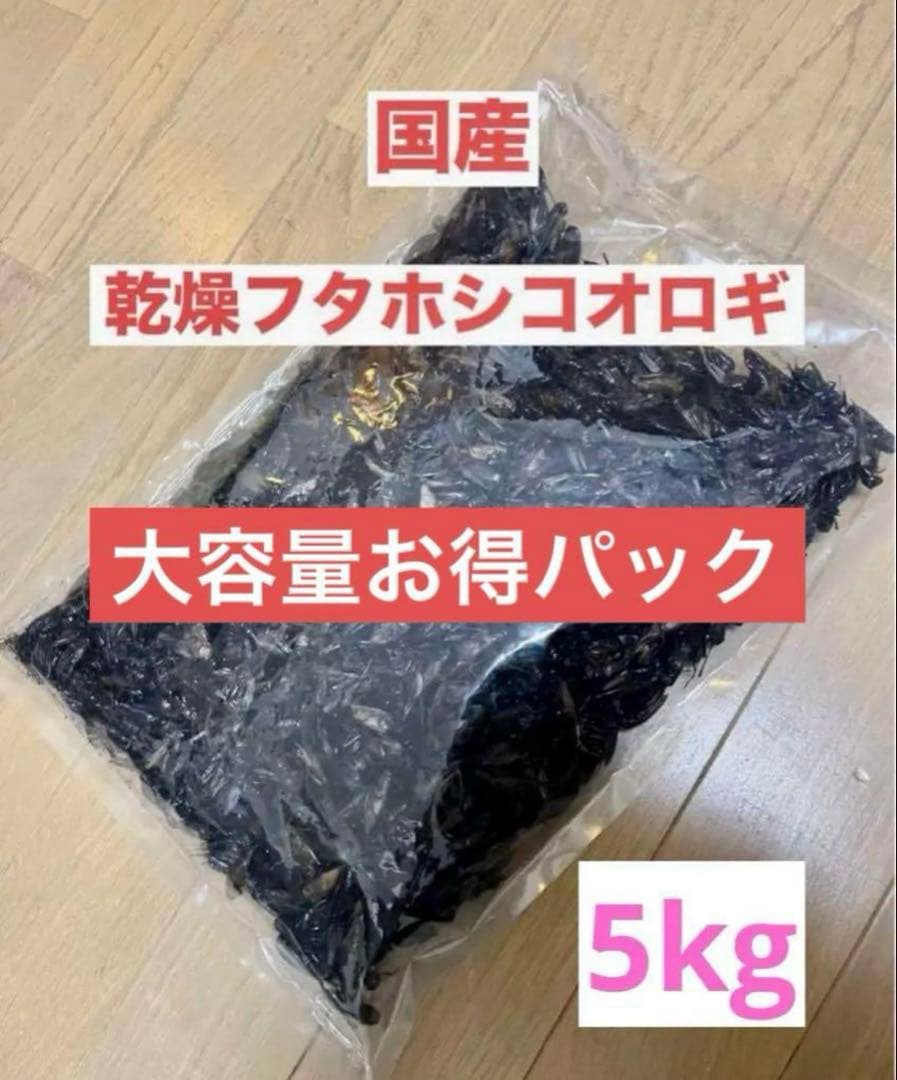 大特価⭐︎国産養殖 乾燥フタホシコオロギ 5kg