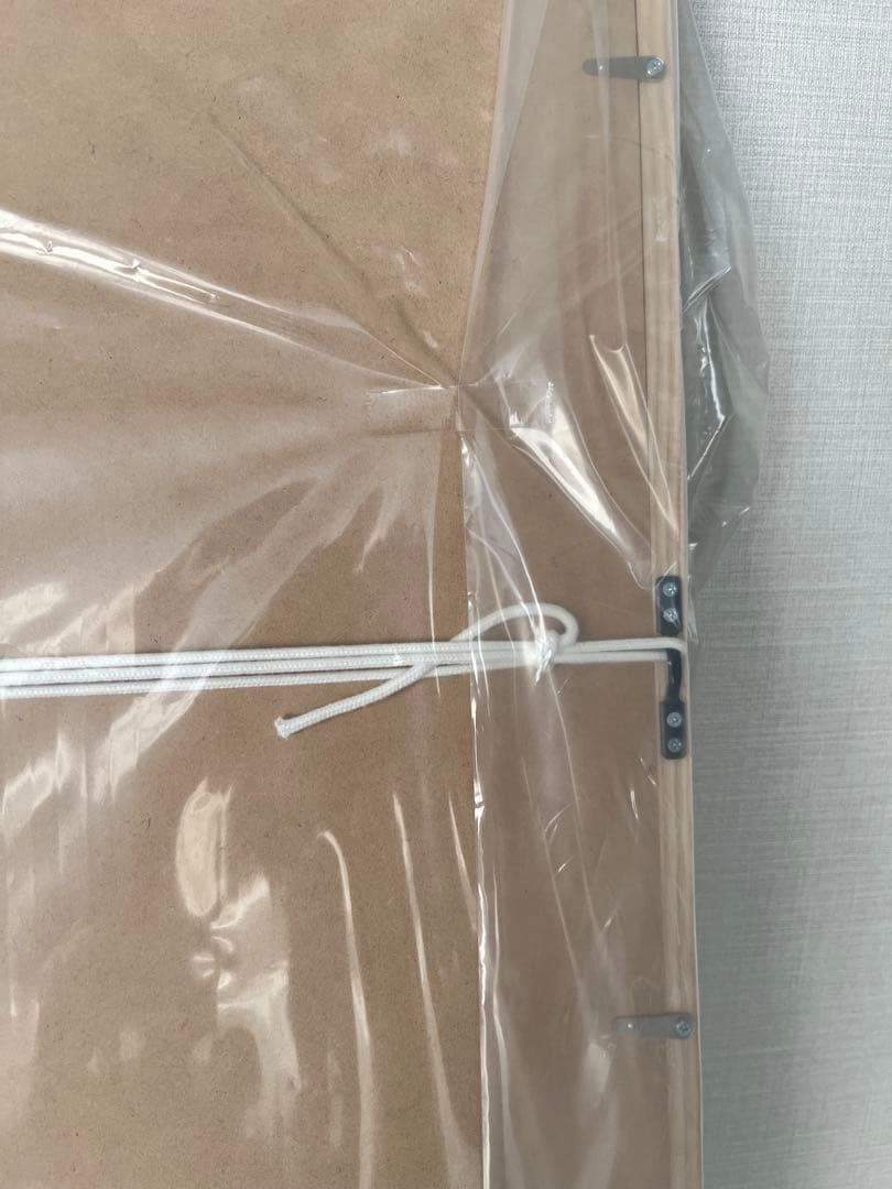 新品未使用品　IDEE 山口一郎　neo flower ポスター　（額装付き）