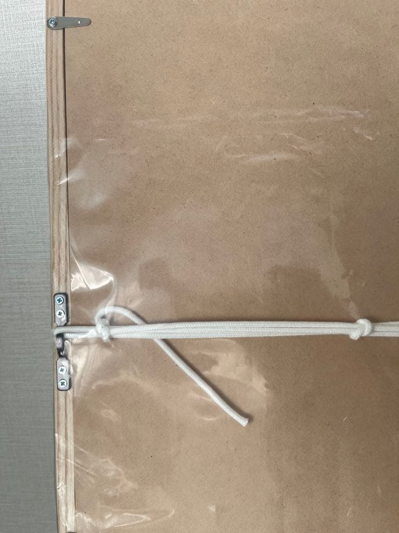 新品未使用品　IDEE 山口一郎　neo flower ポスター　（額装付き）