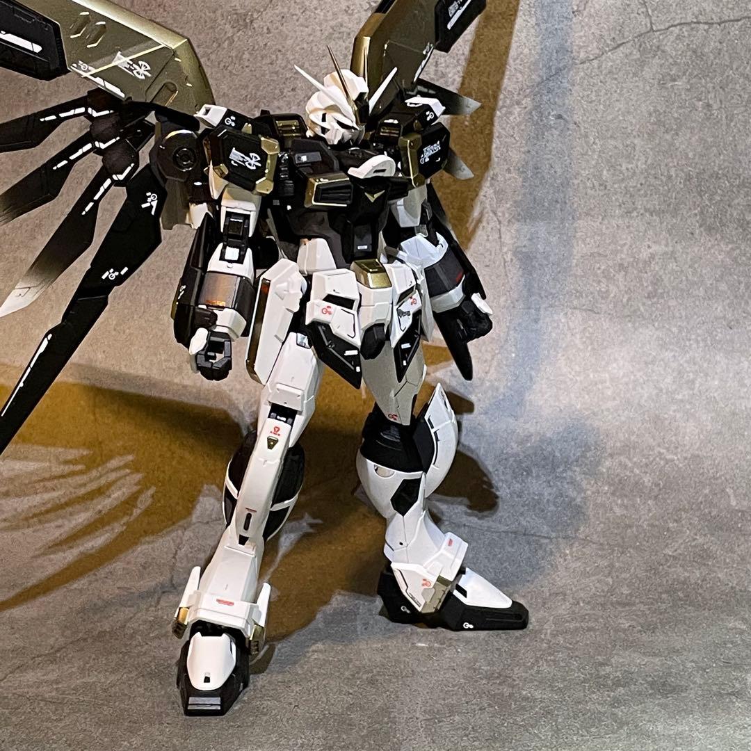 確認用 RG ディスティニーインパルスガンダム