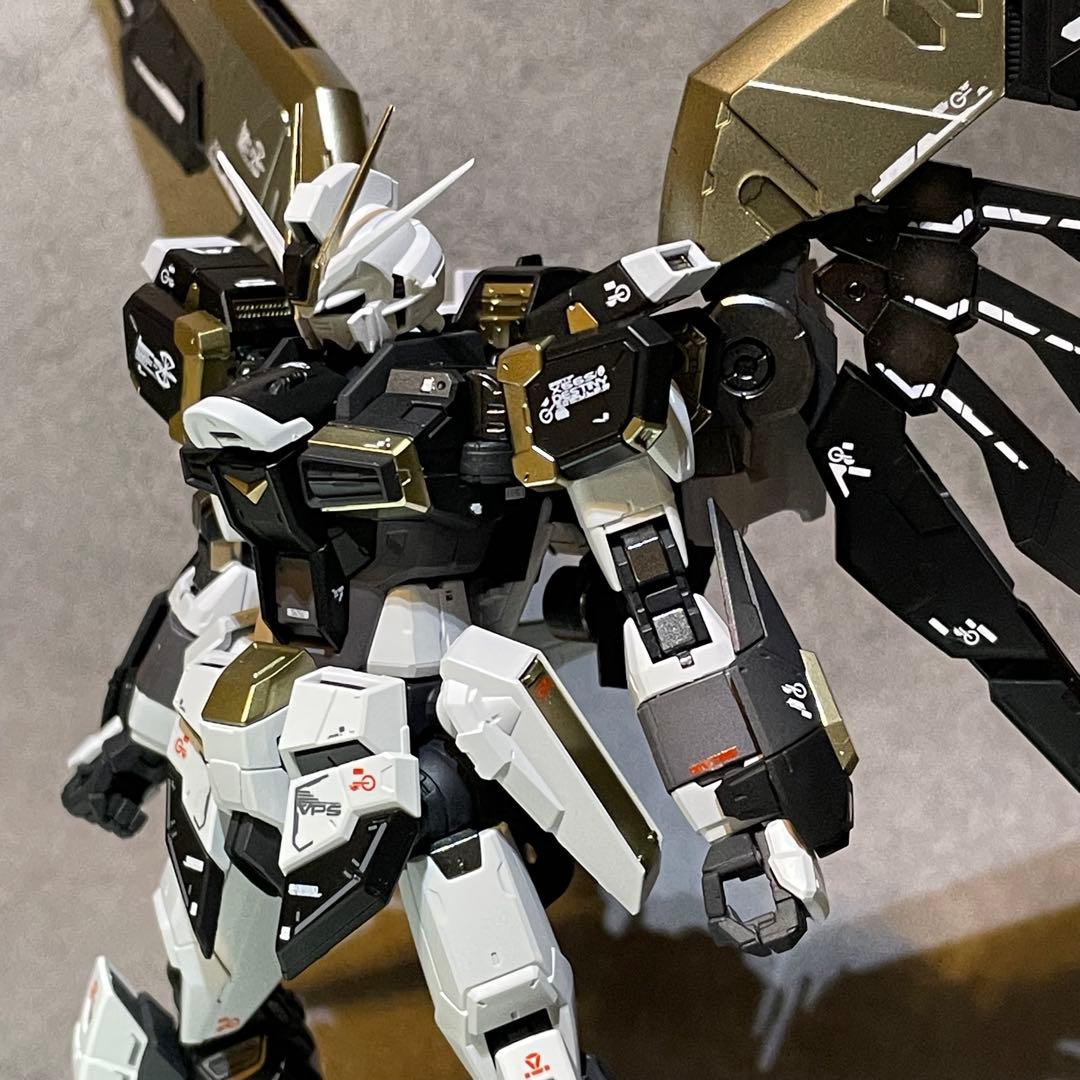 確認用 RG ディスティニーインパルスガンダム