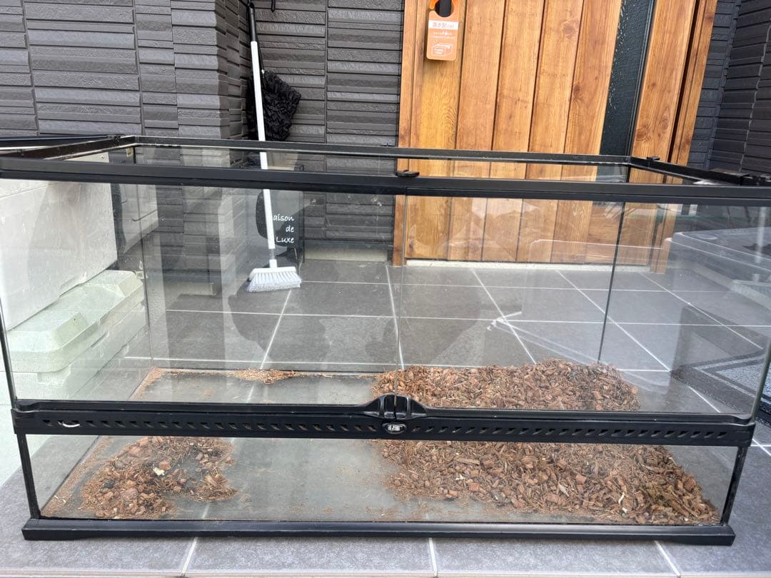 新品 廃盤 シジックス くもの巣 くも バットマン Sizzix Big Shot