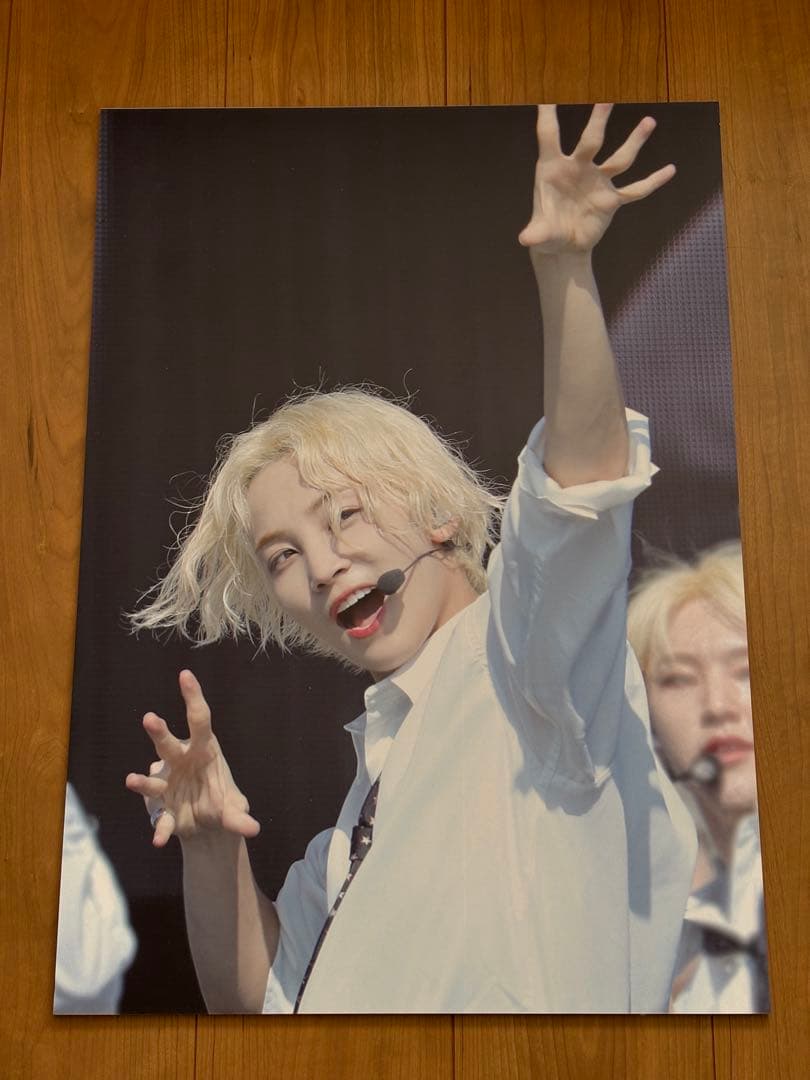 SEVENTEEN ジョンハン　パネル　マスタニム　マスター　NEW