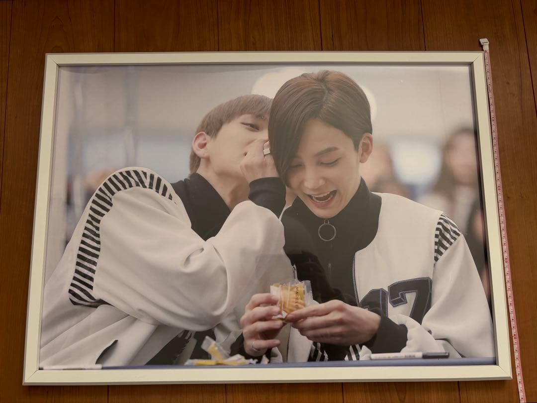 SEVENTEEN ジョンハン　パネル　マスタニム　マスター　NEW