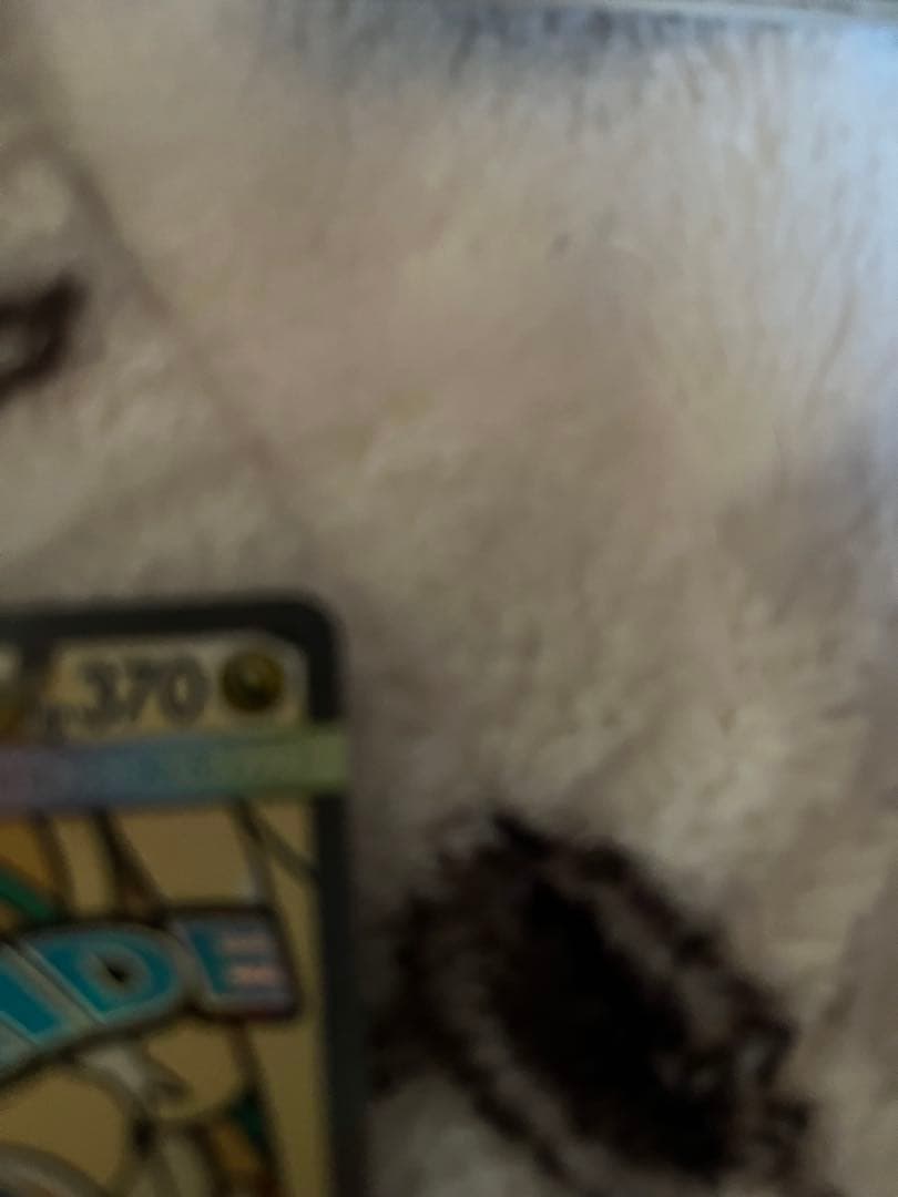 ポケモンカード ハイクラスMEGAドリームex コレクション6枚セット