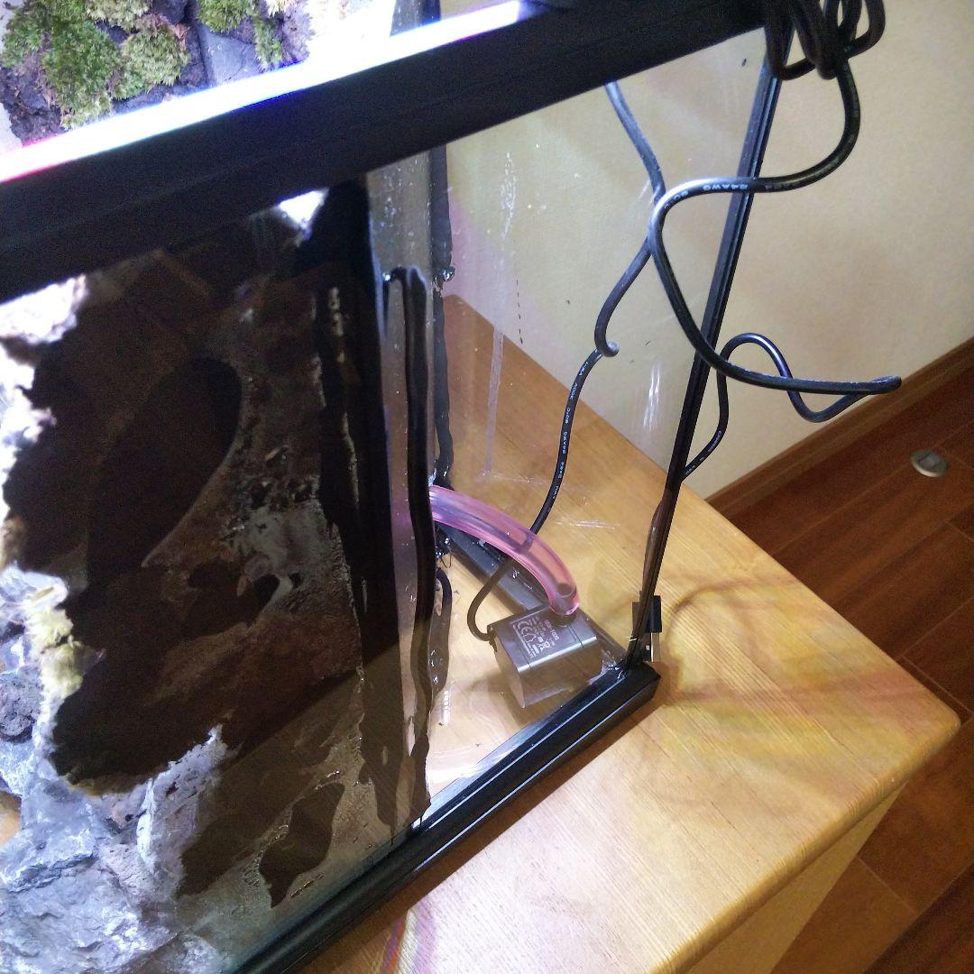 受注生産】イモリウム アクアテラリウム グラステラリウム