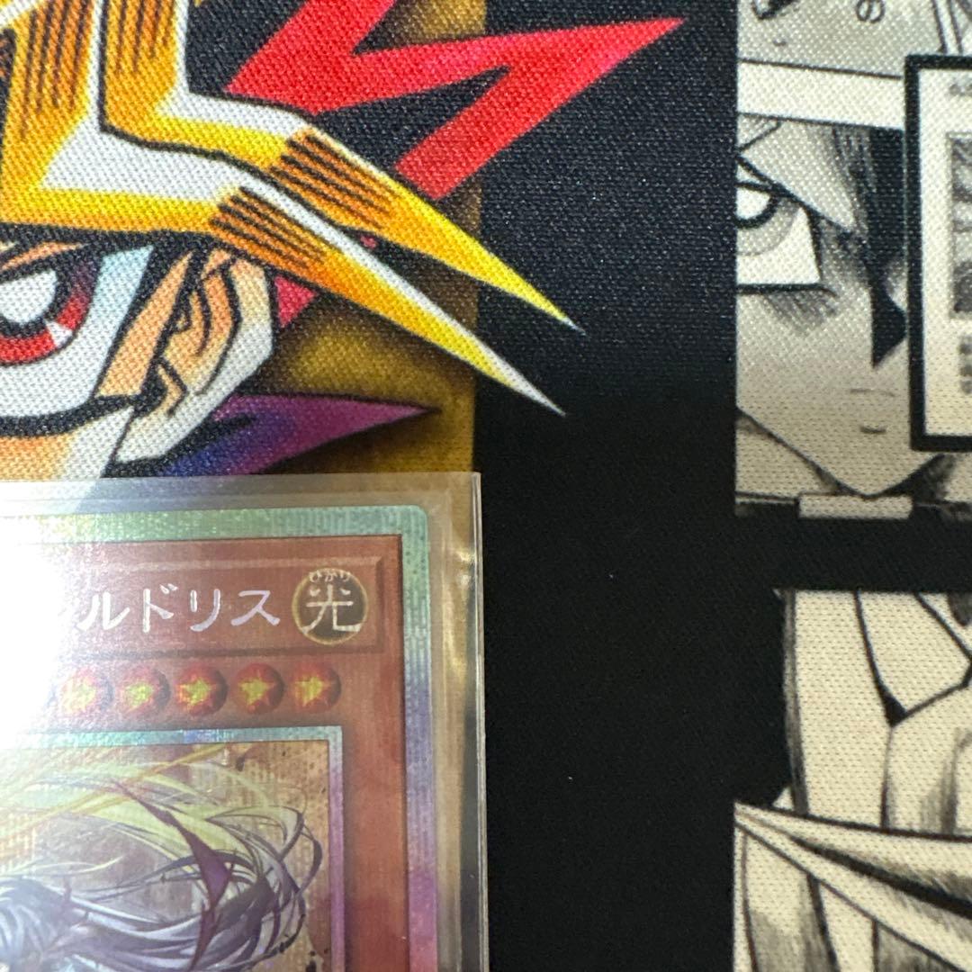 教導の雷霆フルドリス プリシク1枚