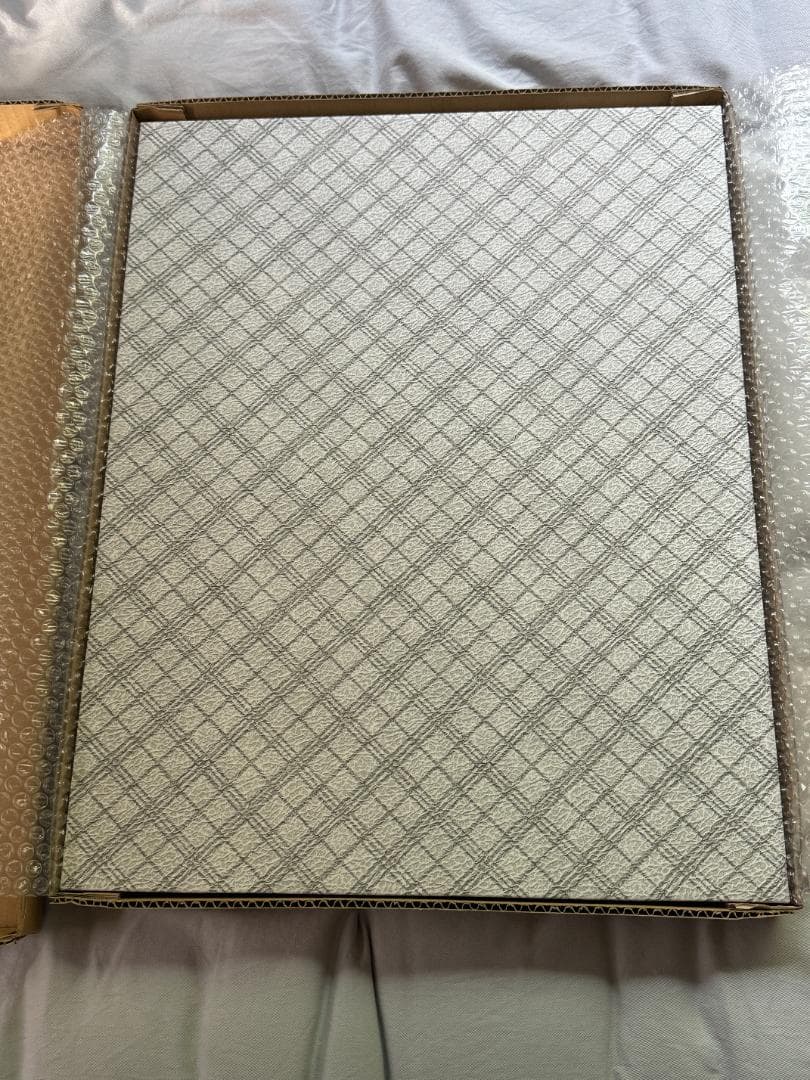 イーカプコン限定 ヴァンパイアセイヴァー 西村キヌ 額装アート プリマグラフィ