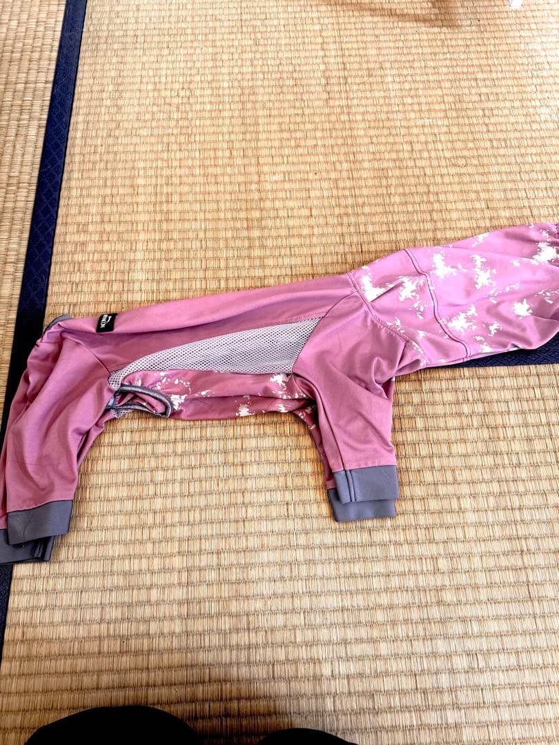 Alphaicon ドッグガードクール 1L Amazon | ドッグガードクール(2022年モデル)(ネイビー,1XL