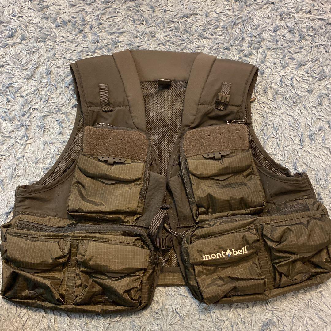 異常型・ペア】ギフチョウ（福井県産）