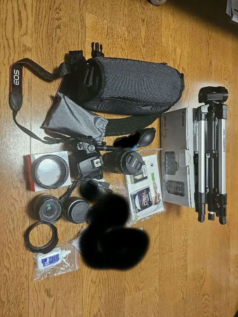 Canon EOS kiss X10 ダブルズームレンズキット　単焦点レンズ EOS Kiss X10(ブラック)・ダブルズームキット：通販｜キヤノン