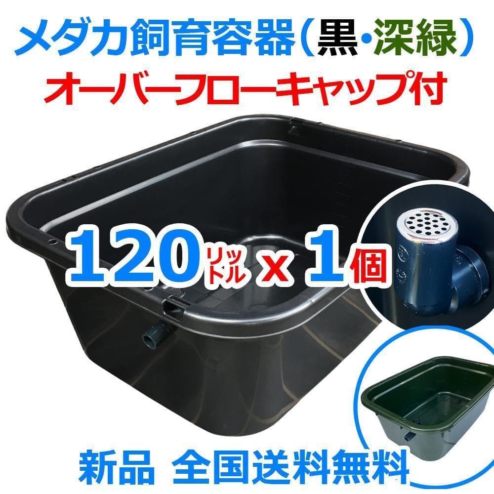 メダカ飼育ケース 120㍑x1個 黒・濃緑あり オーバーフロー 金魚