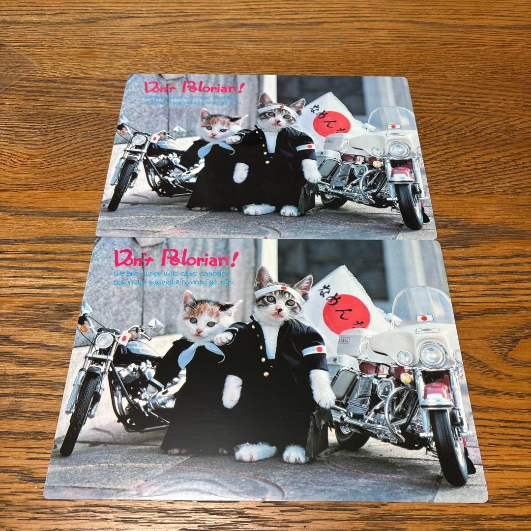 なめ猫 下敷き 2枚セット なめんなよ カードコレクション2当て