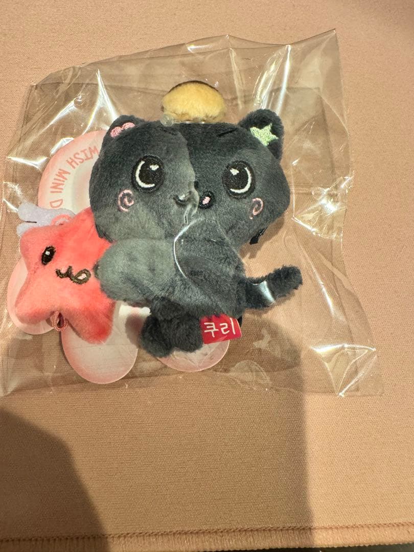 NCT WISH リク クリ ミニドールキーリング ファンライトキーリング