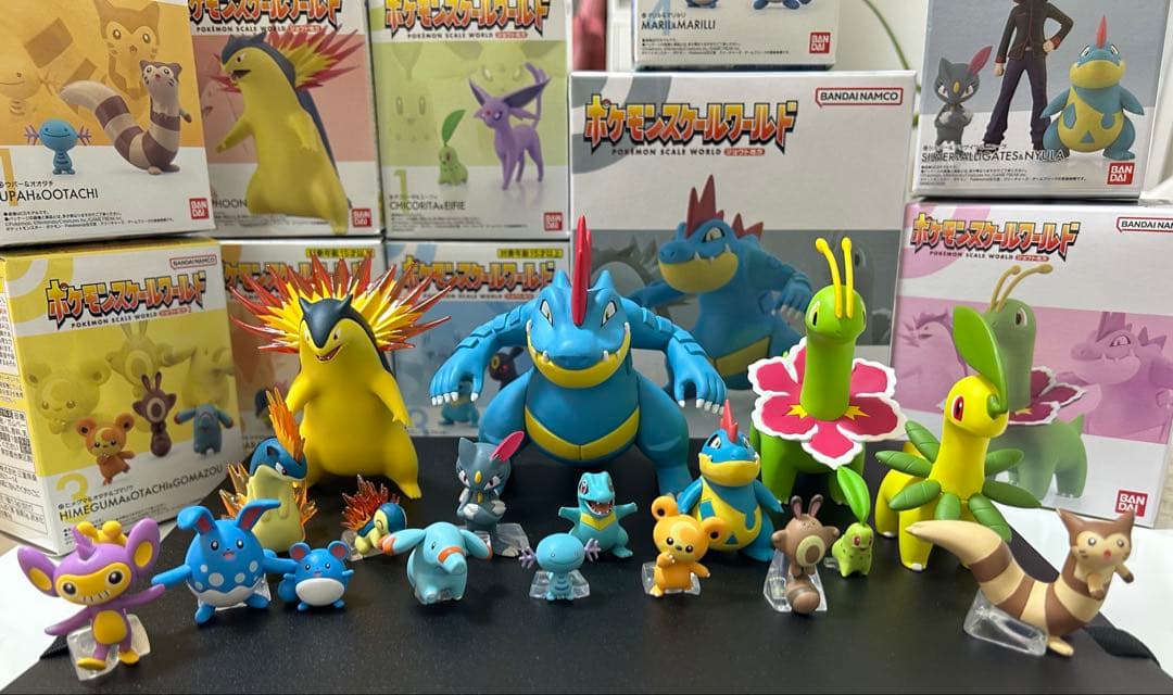 ポケモンスケールワールド ジョウト地方 ツクシ&ハッサム