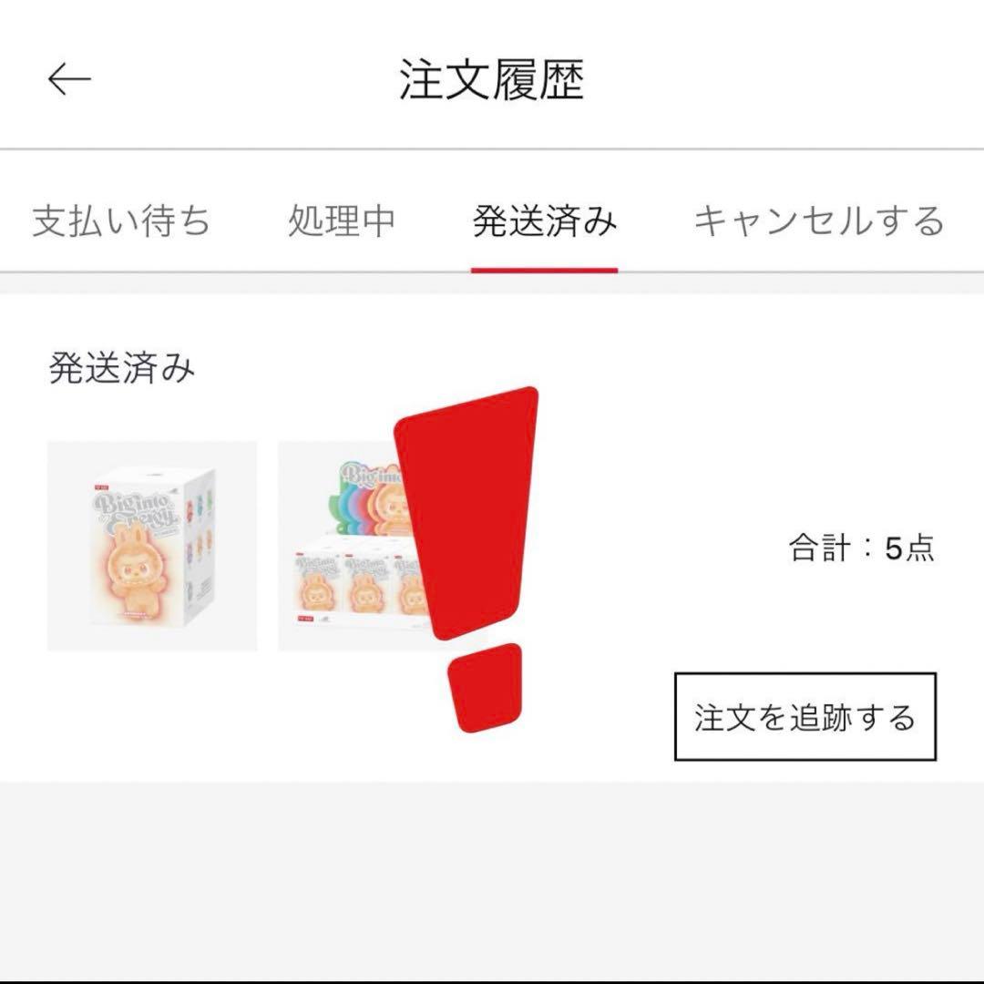 LABUBU Big into Energy ID シークレット