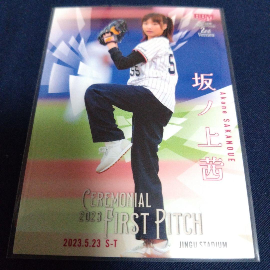 プロ野球カード　濱家隆一　BBMカード　せいや　坂ノ上茜　始球式　限定品　セット