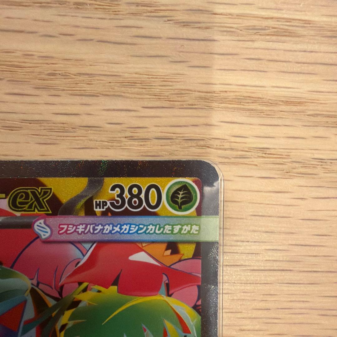 メガフシギバナEX SAR 2枚セット