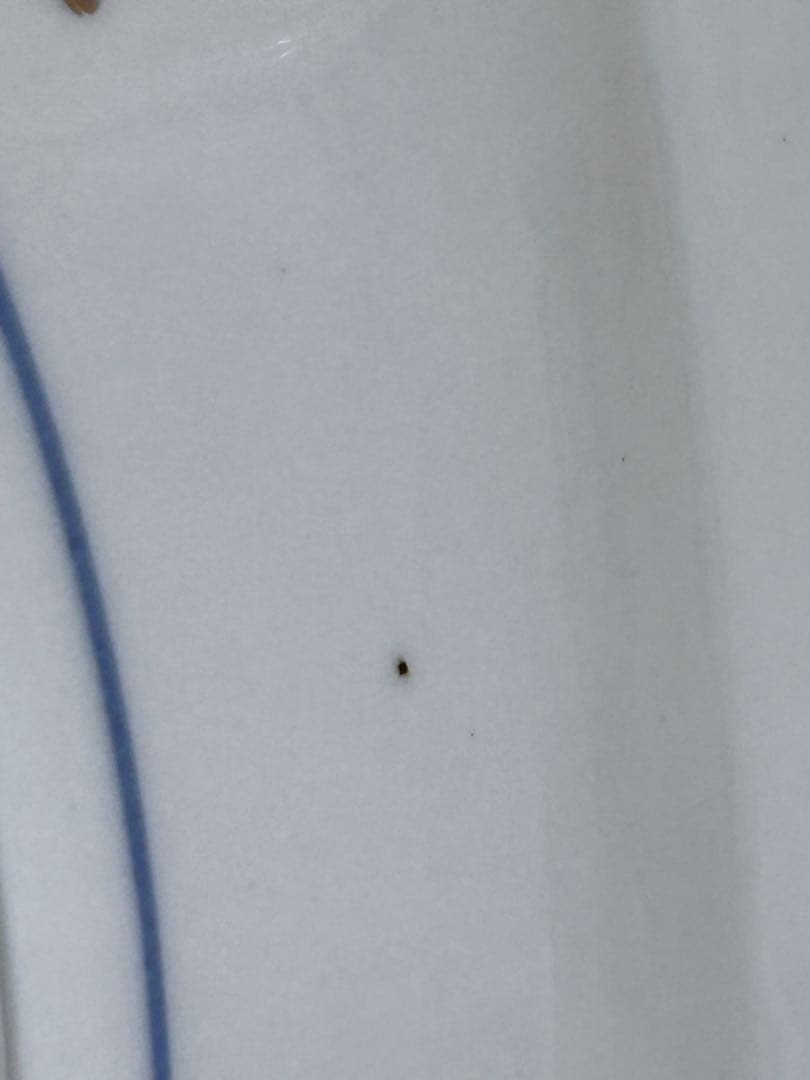 九谷焼 山本重義作 色絵 小紋 金蘭手 飾り皿 大皿