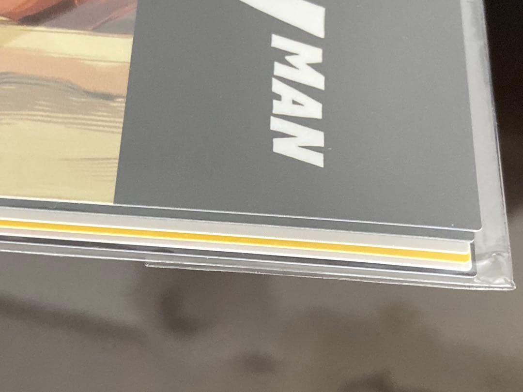 購入特典 チェンソーマン MAPPA イラストカード 6枚