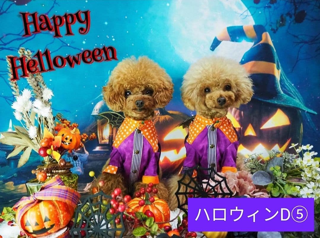 背景布【秋XE】サンプル80×120 ペット撮影用ブース 十五夜 お月見 宇宙