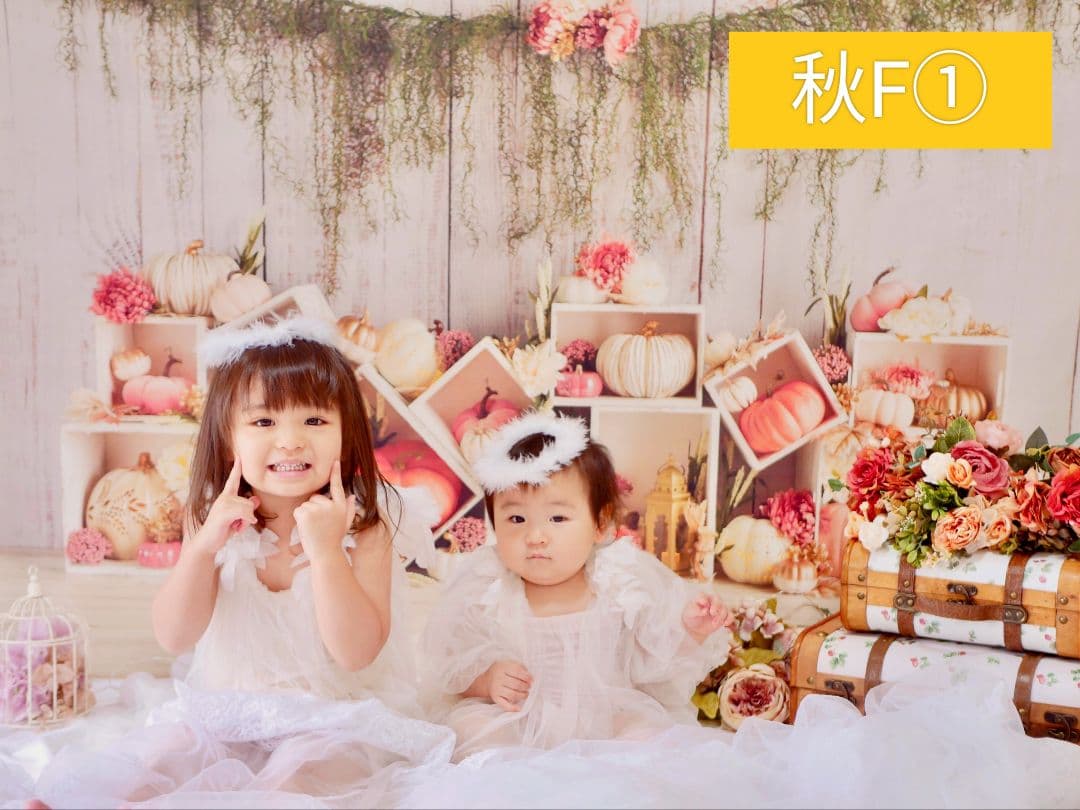 背景布【秋XE】サンプル80×120 ペット撮影用ブース 十五夜 お月見 宇宙