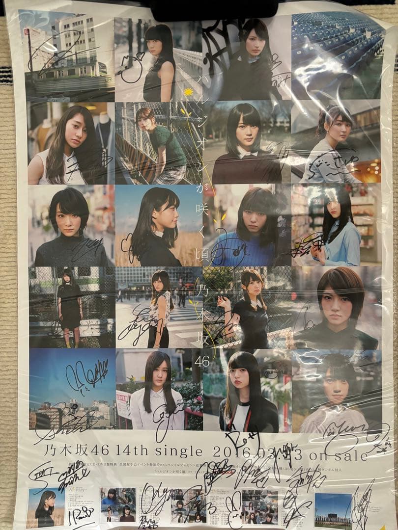 乃木坂46 ハルジオンが咲く頃 サインポスター 乃木坂46ハルジオンが咲く頃メンバー全員直筆サイン入りポスター