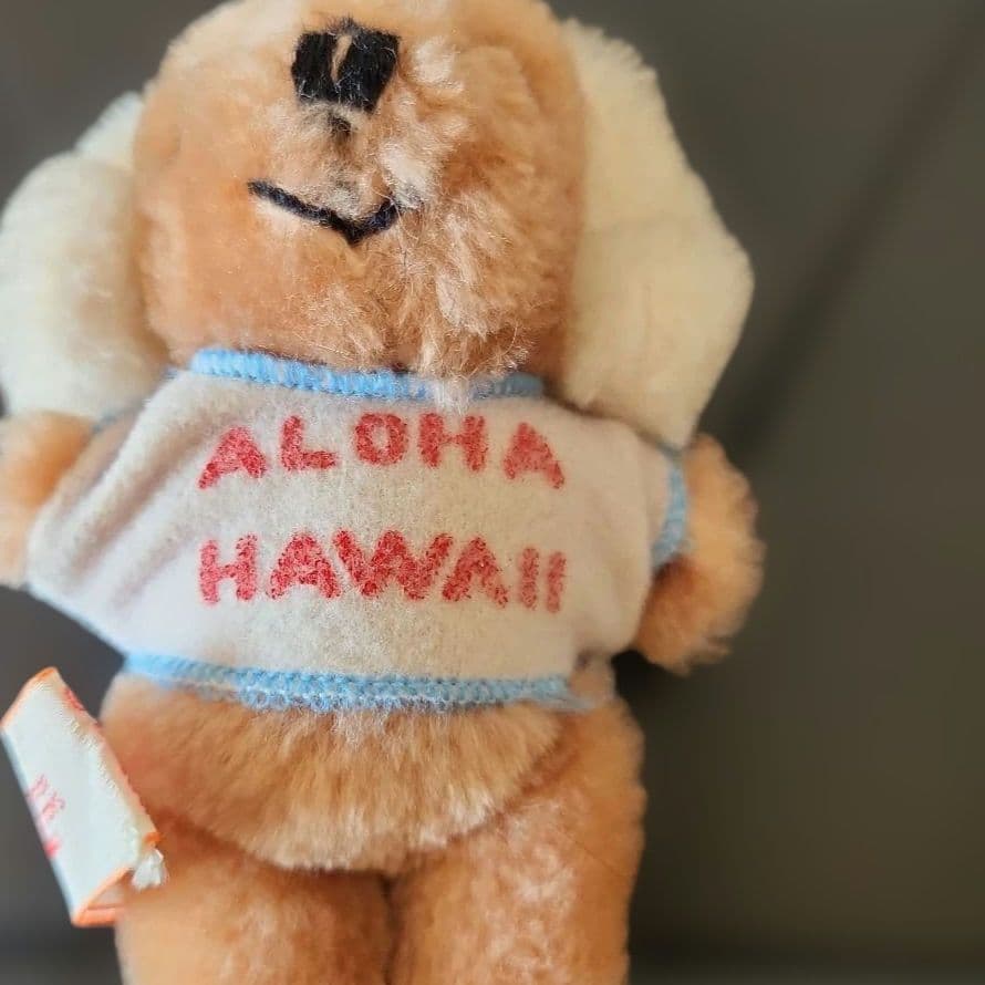 ヴィンテージDAKIN ぬいぐるみ　ハワイ　土産品