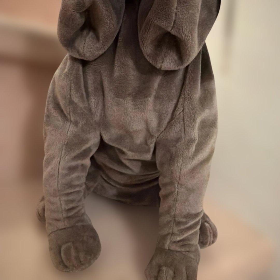 ハリー・ポッター ぬいぐるみ 犬型 グレー