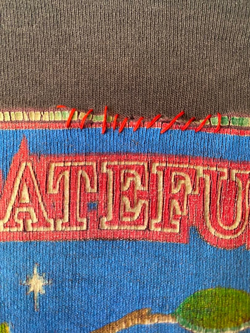 Grateful Dead 1989 FALL TOUR Tシャツ