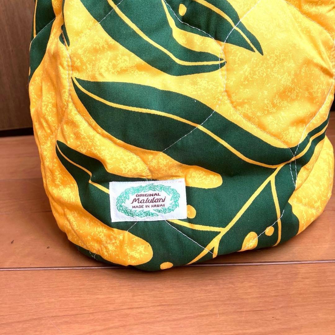 フラダンス　楽器　イプ