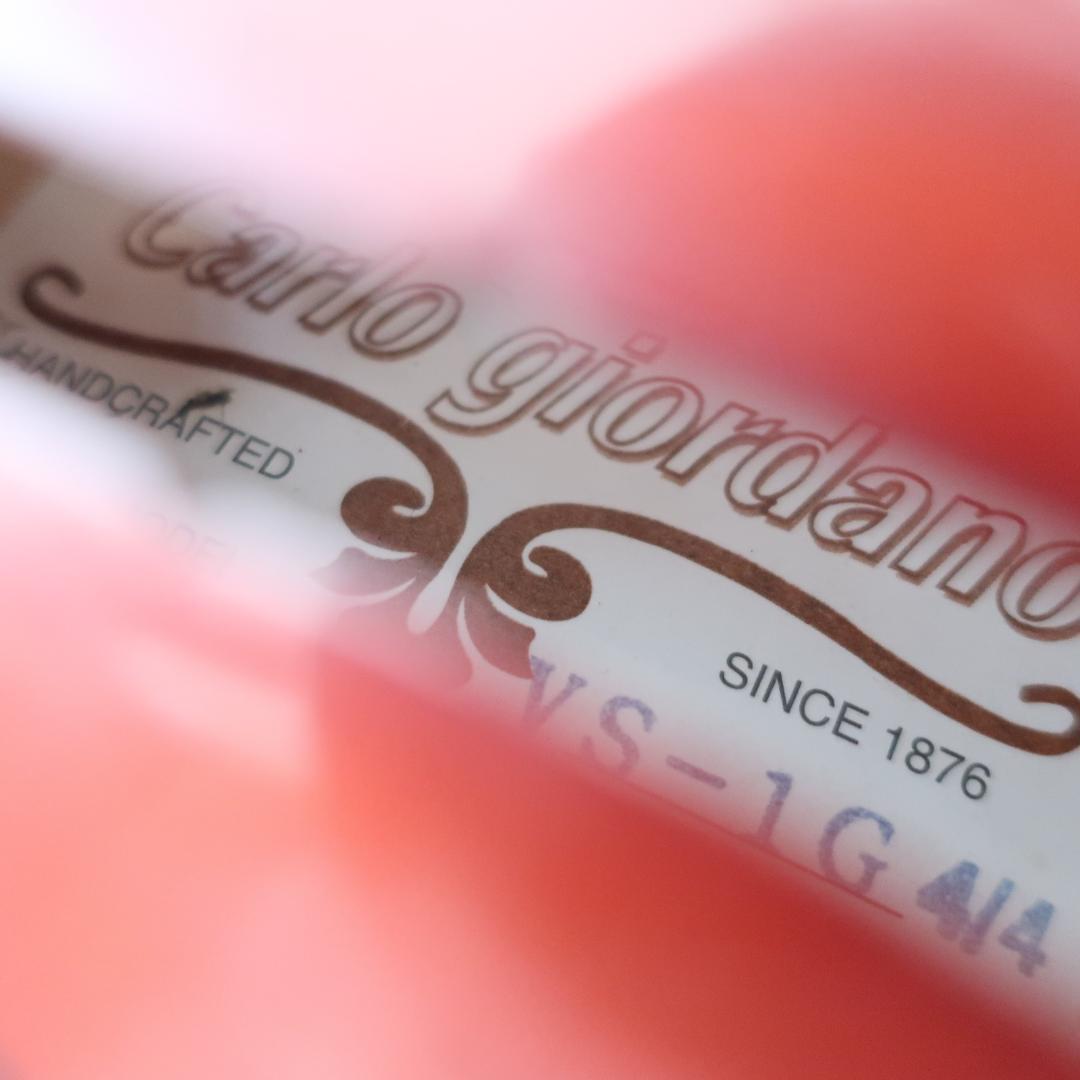 Carlo giordano VS-1G 4/4 バイオリン ケース 弓 肩当て